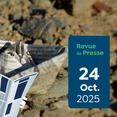Revue de presse Capitaine Carbone #183 - 24 octobre 2025