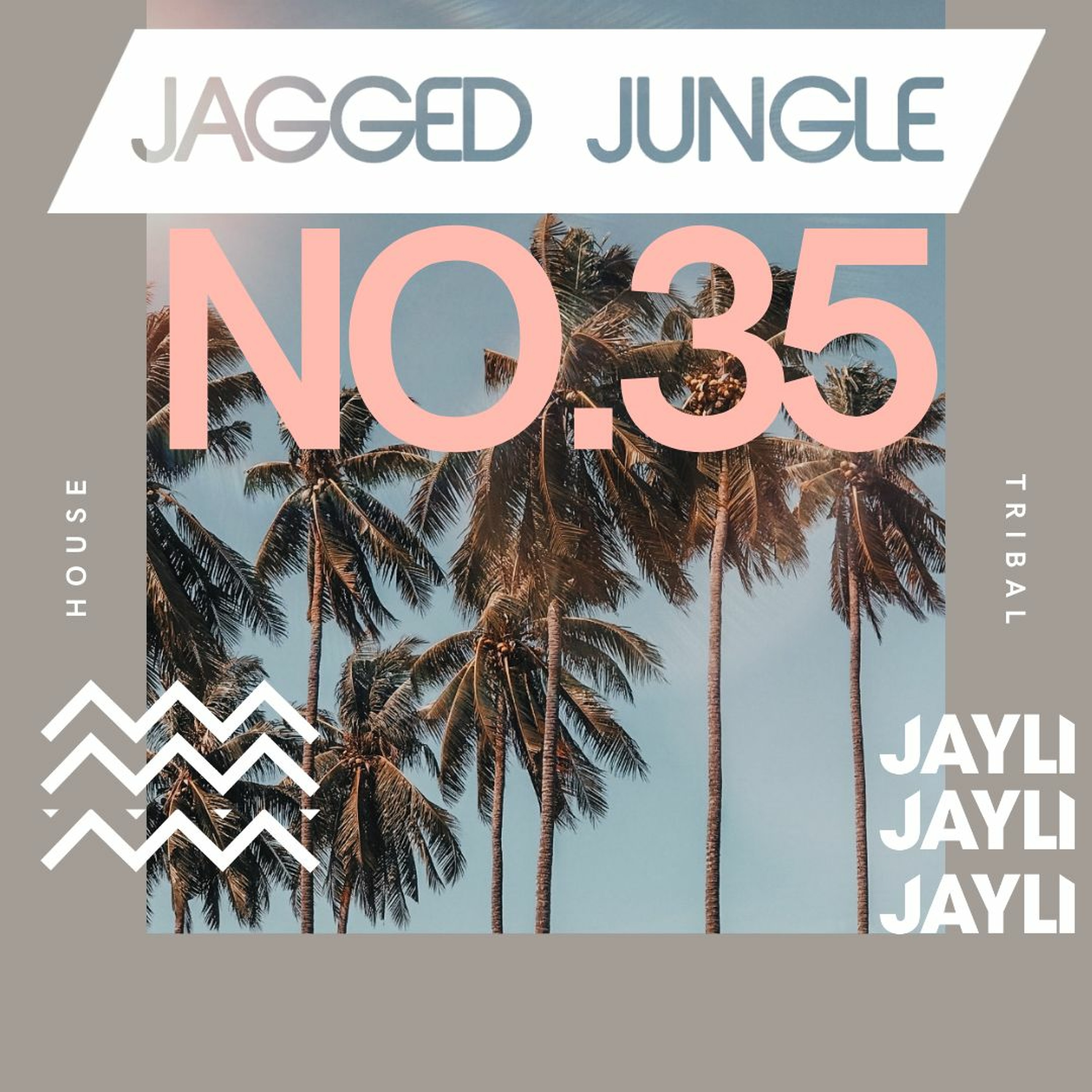 Jayli Presents: Jagged Jungle