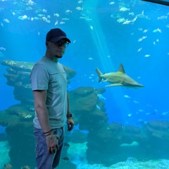 Tomecy - Blue Steel Shuffle