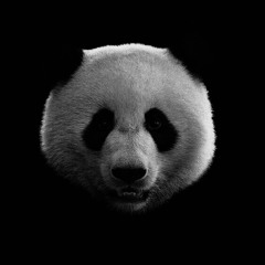 What You Know x Panda (Steven Cortes Blend) *FILTERED DUE TO COPYRIGHT (FREE DL)