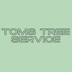 Toms Tree Service Safe Tree Work