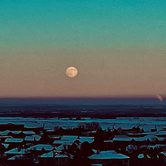 Disco Martians - Winter Dub