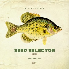 Seed Selector @ Newcomer #045 - Brazil