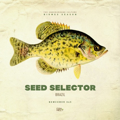 Seed Selector @ Newcomer #045 - Brazil