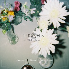 Never Been In Love feat. Shiloh Dynasty