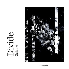 Divide - Sciame [FAUT050]
