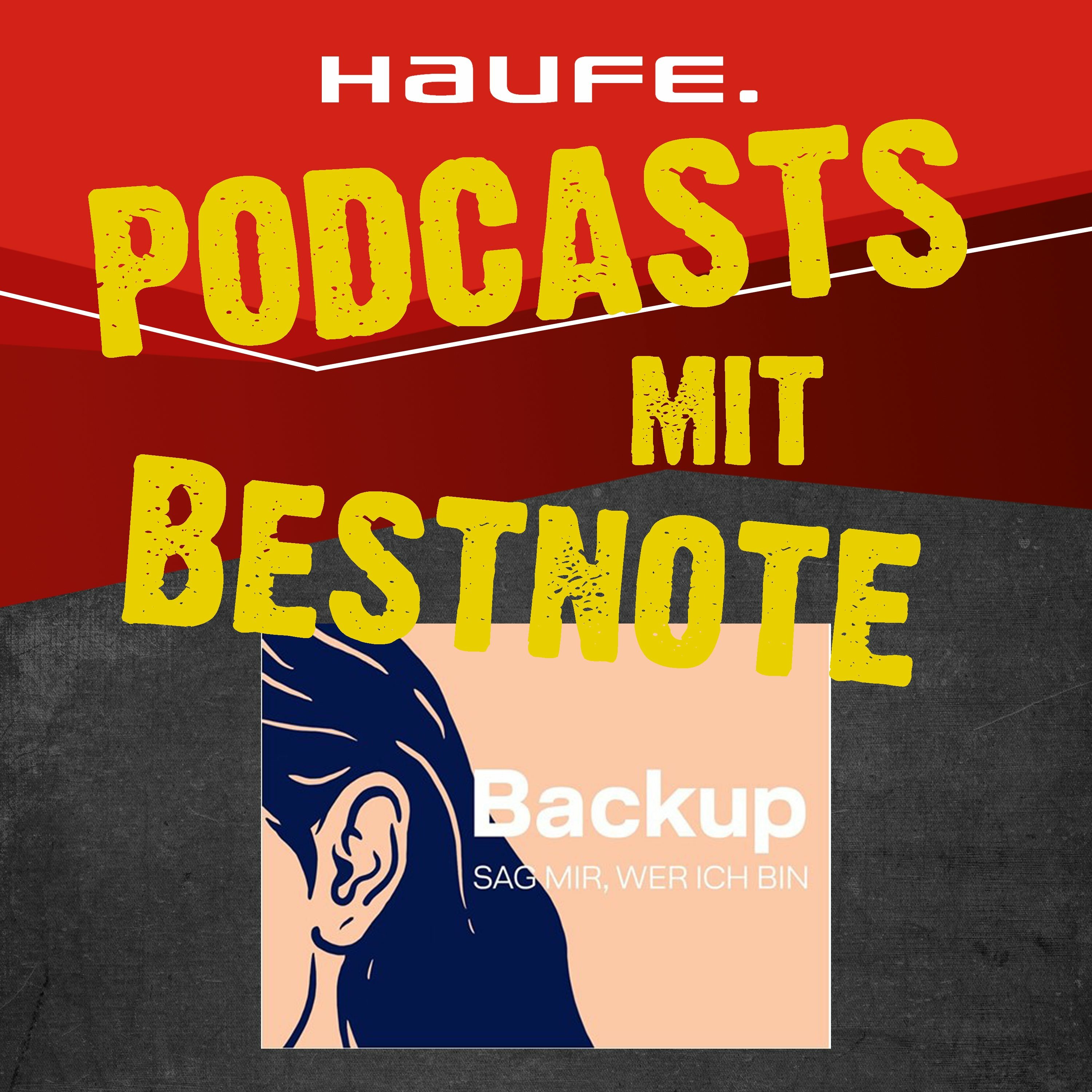 Doris Hammerschmidt - Das Podcast-Buch