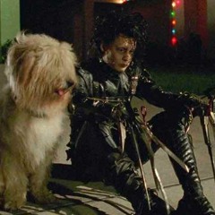 RUN // BODY  prod.andre$