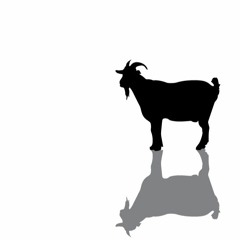 Goat Shit