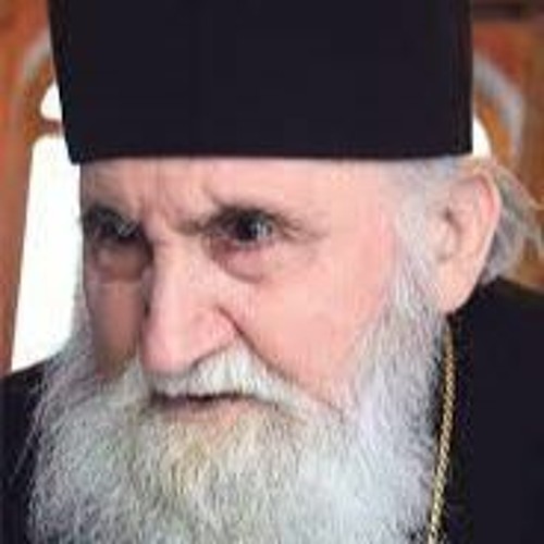 Pr. Ioan Iovan tâlcuiește pilda Fiului Risipitor