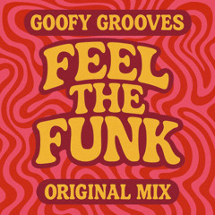 Feel The Funk