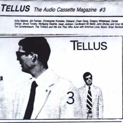 Excerpts from Messages published on TELLUS, the Audio Cassette Magazine