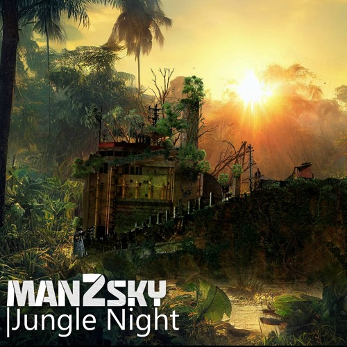 Stream Jungle Night by Man2Sky | Listen online for free on SoundCloud