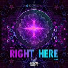Naylo - Right Here (Henrique Camacho Remix) full track on YouTube