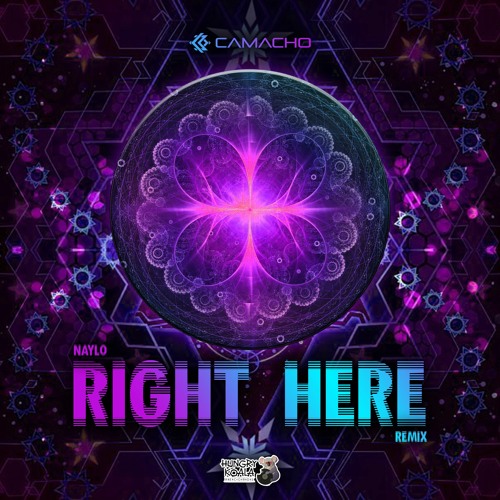 Naylo - Right Here (Henrique Camacho Remix) full track on YouTube