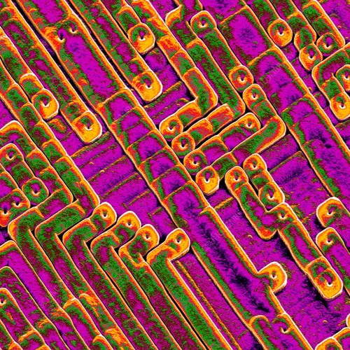 TECHNO FOR AN ANSWER