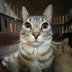 Dep trai deo co ai ieu :(