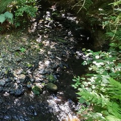 Irish Stream - Real Power