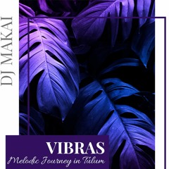Vibras - Melodic Journey In Tulum