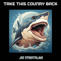Take This Country Back