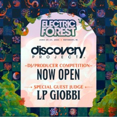 Authenticity - Discovery Project: Electric Forest 2024