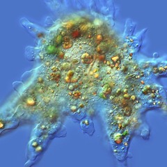 #1: WELCOME TO PLANET CYBERBLANK!!1!1111
