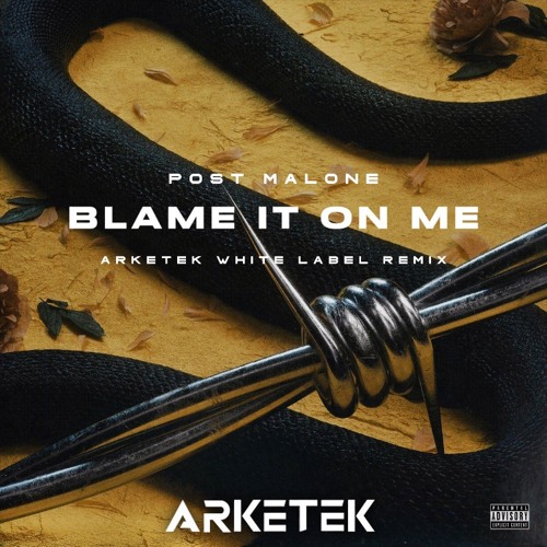 Post Malone - Blame It On Me ARKETEK White Label Remix