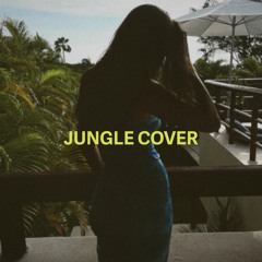 Jungle (Drake cover)