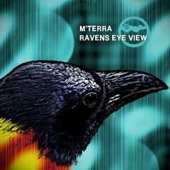 Ravens Eye View