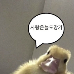 디져븐다