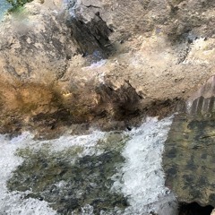 nettles 12786r4