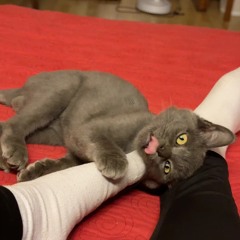 Làm tí vietmix đỡ bó đầu anh em ơi