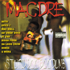 Hoez Love It (feat. Spice 1)