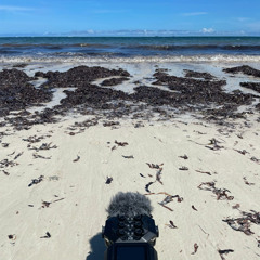 The Breath of Indian Ocean