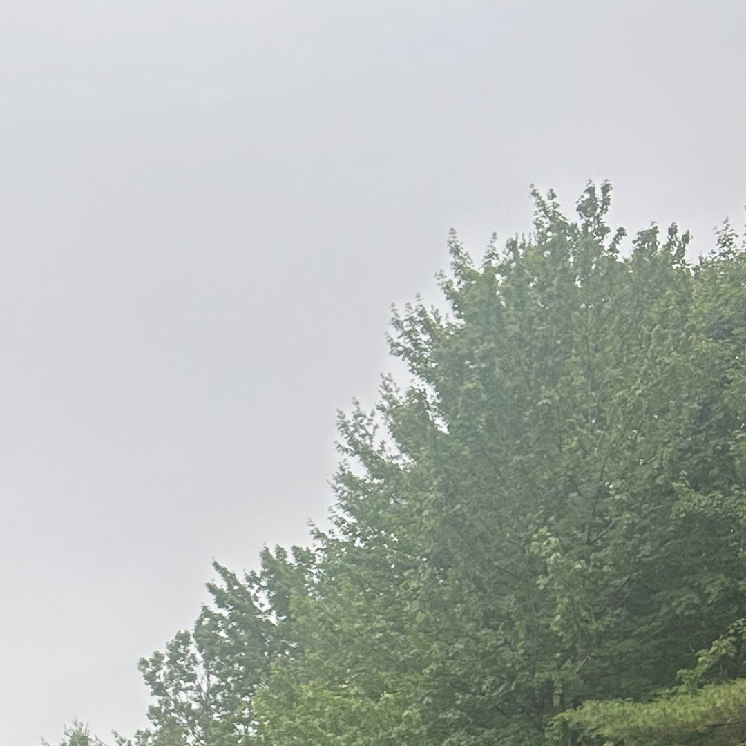 Stream Nights Like This The Kid Laroi Cover By Covers By Tye Listen