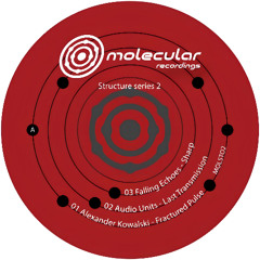 Premiere: Alexander Kowalski - Fractured Pulse [Molecular Recordings]