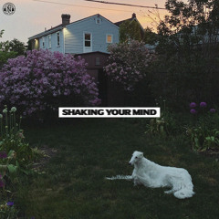 Shaking Your Mind
