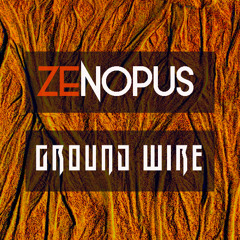 Ground Wire