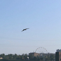 Ты мне снишься