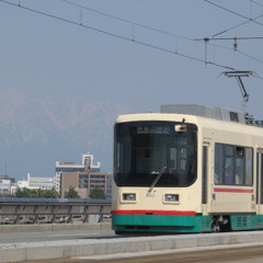 Toyamity Fortune