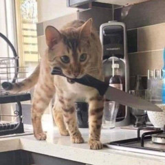 Lil O - Мамкин зять (speed up)