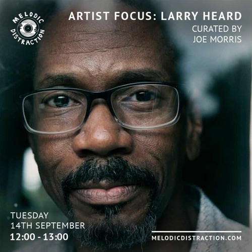 Artist Focus: Larry Heard - Curated By Joe Morris