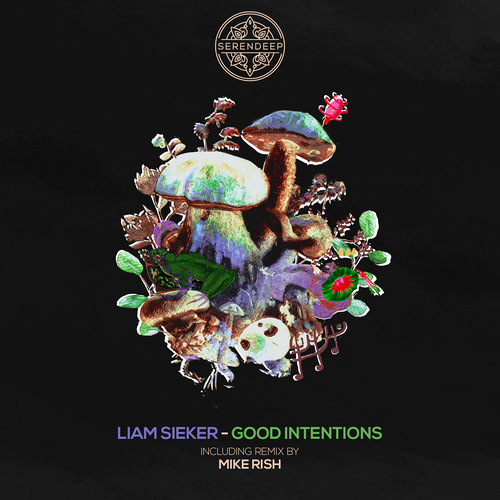 Liam Sieker - Good Intentions (Original Mix) [Serendeep]