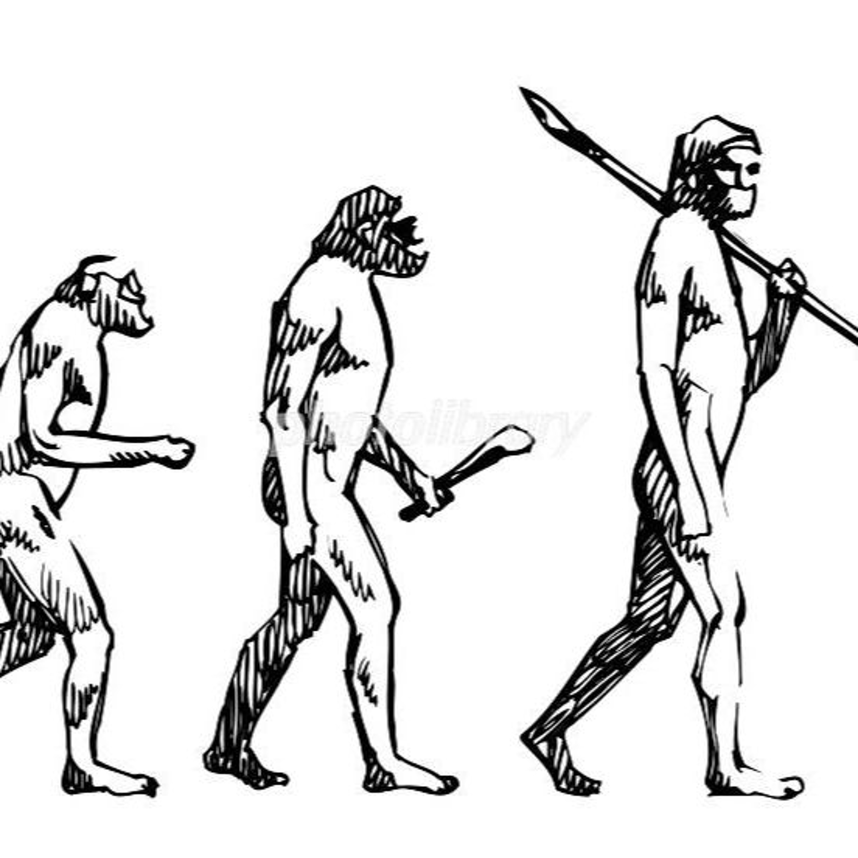 Are We Ape? episode artwork