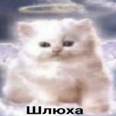 ЕБАНУТАЯ СВАГАПУШКА