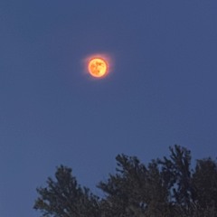 I guess it got me blind (prod.geekinz)