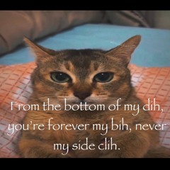 Cuhronic Ft. Rawlo Lalo