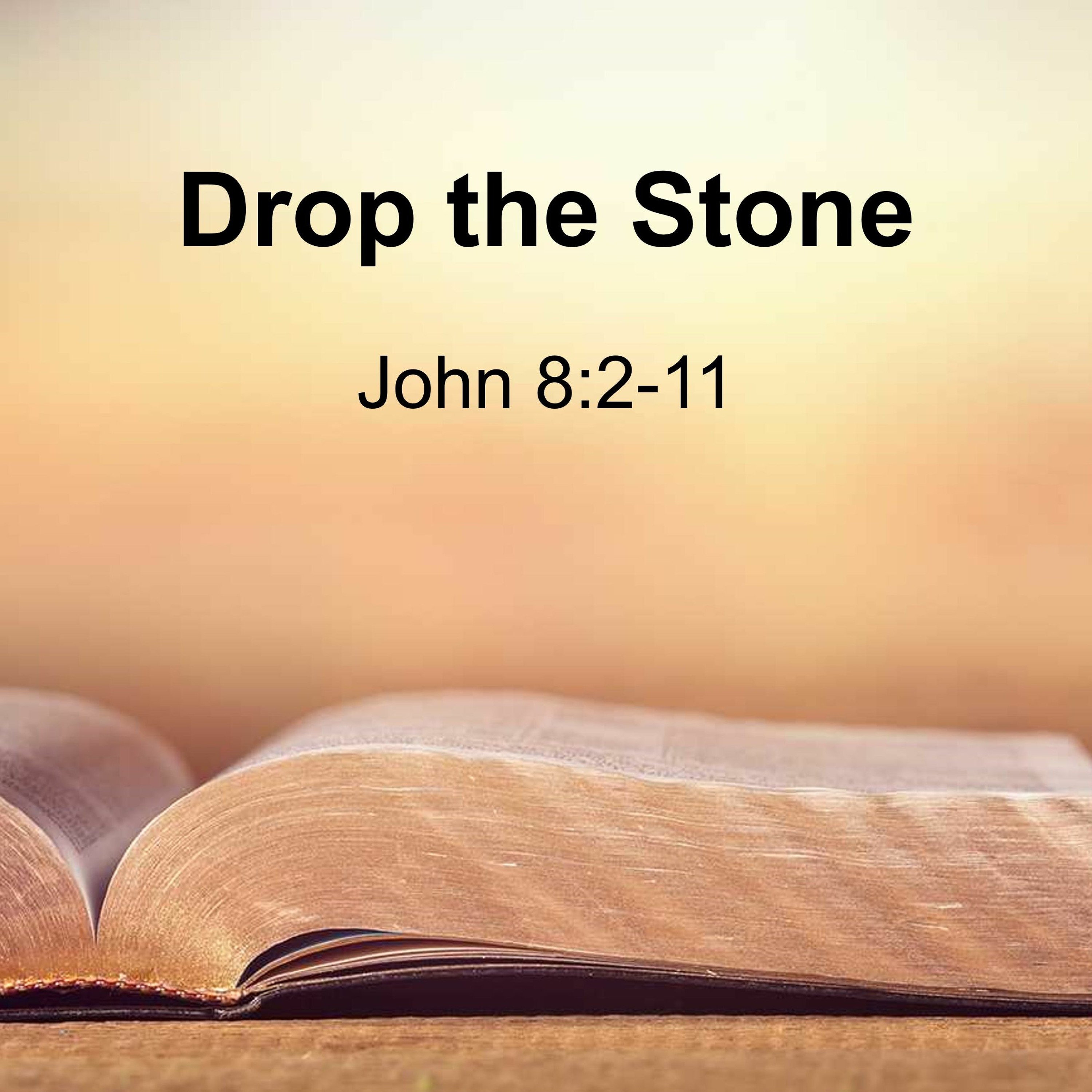 Drop The Stone episode artwork