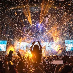 Curated Weekly EDM Week 1