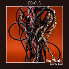 PREMIERE: Guy Wander - Make The Sound (F.E.M. Remix) [MES029]